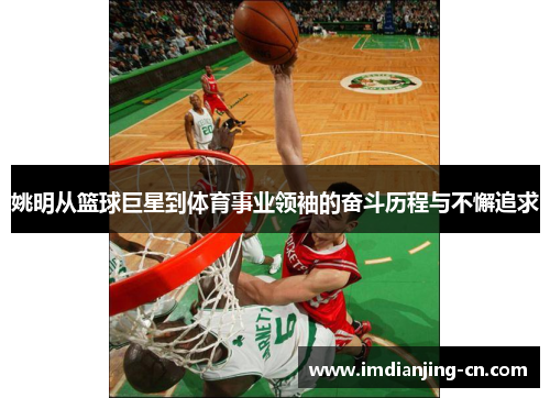 姚明从篮球巨星到体育事业领袖的奋斗历程与不懈追求