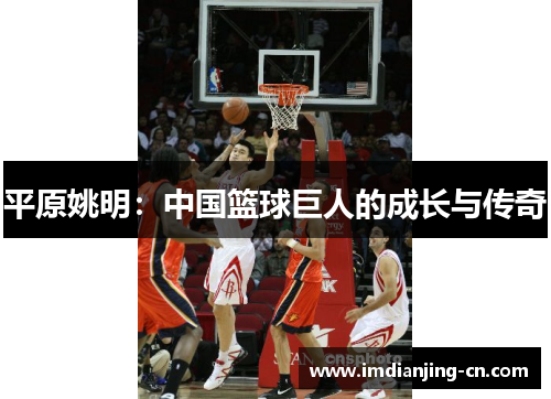 平原姚明：中国篮球巨人的成长与传奇