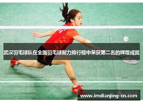 武汉羽毛球队在全国羽毛球耐力排行榜中荣获第二名的辉煌成就