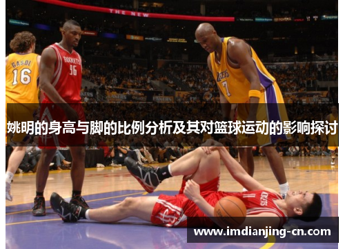 姚明的身高与脚的比例分析及其对篮球运动的影响探讨