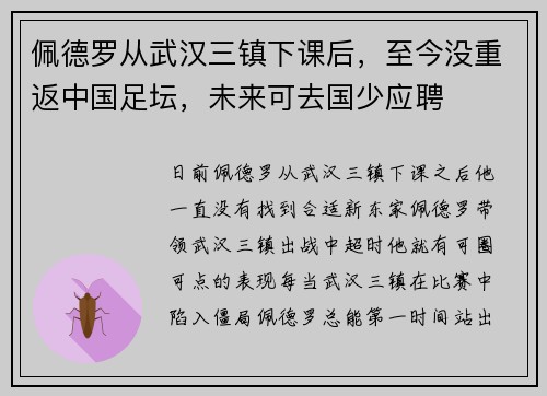佩德罗从武汉三镇下课后，至今没重返中国足坛，未来可去国少应聘